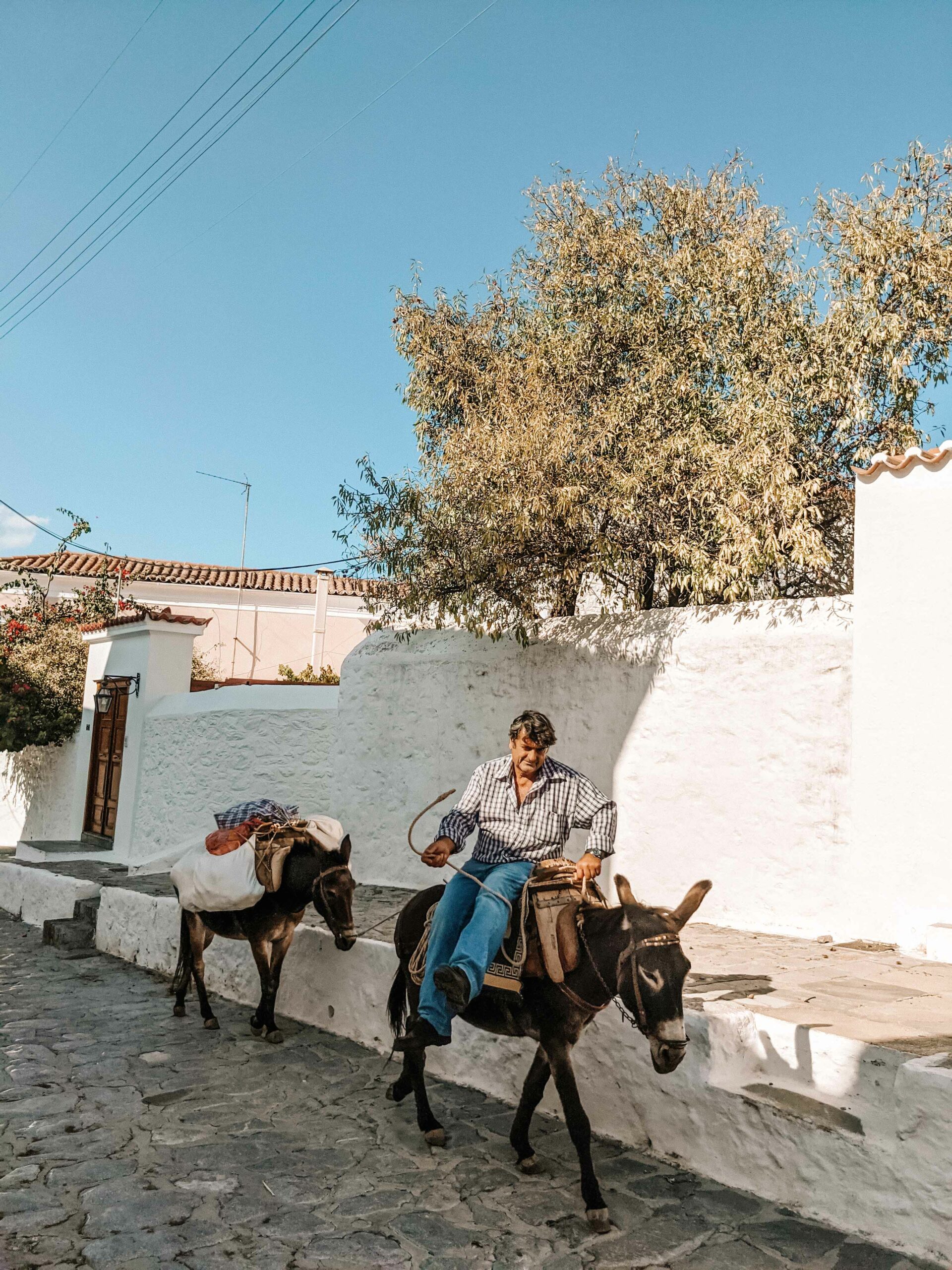 homme sur un âne hydra grece